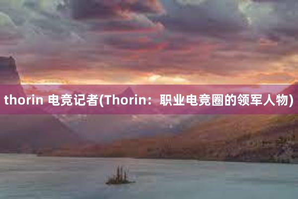 thorin 电竞记者(Thorin：职业电竞圈的领军人物)