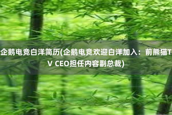 企鹅电竞白洋简历(企鹅电竞欢迎白洋加入：前熊猫TV CEO担任内容副总裁)