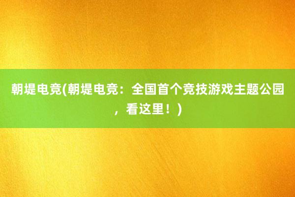 朝堤电竞(朝堤电竞：全国首个竞技游戏主题公园，看这里！)