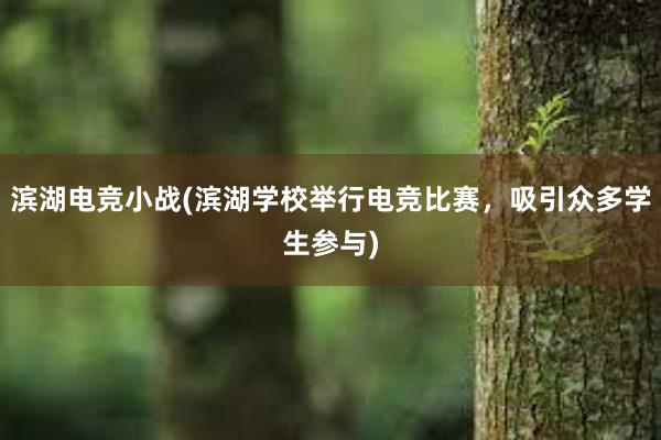 滨湖电竞小战(滨湖学校举行电竞比赛，吸引众多学生参与)