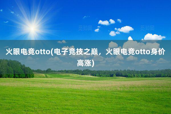 火眼电竞otto(电子竞技之巅，火眼电竞otto身价高涨)