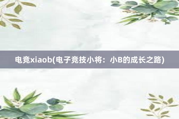 电竞xiaob(电子竞技小将：小B的成长之路)