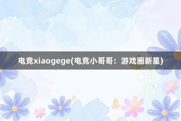 电竞xiaogege(电竞小哥哥：游戏圈新星)