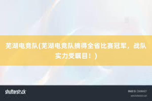 芜湖电竞队(芜湖电竞队摘得全省比赛冠军，战队实力受瞩目！)