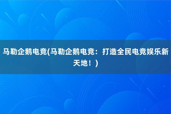 马勒企鹅电竞(马勒企鹅电竞：打造全民电竞娱乐新天地！)