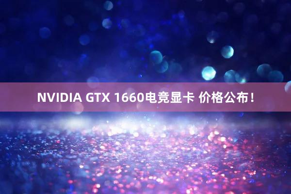 NVIDIA GTX 1660电竞显卡 价格公布！