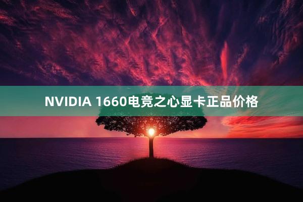 NVIDIA 1660电竞之心显卡正品价格