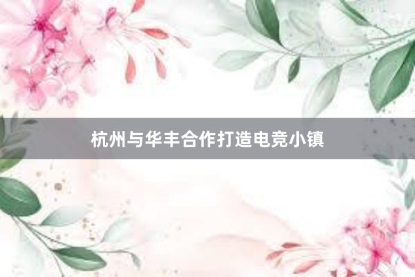 杭州与华丰合作打造电竞小镇