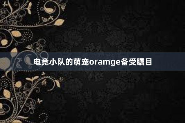 电竞小队的萌宠oramge备受瞩目