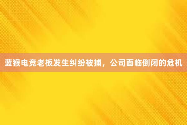 蓝猴电竞老板发生纠纷被捕，公司面临倒闭的危机